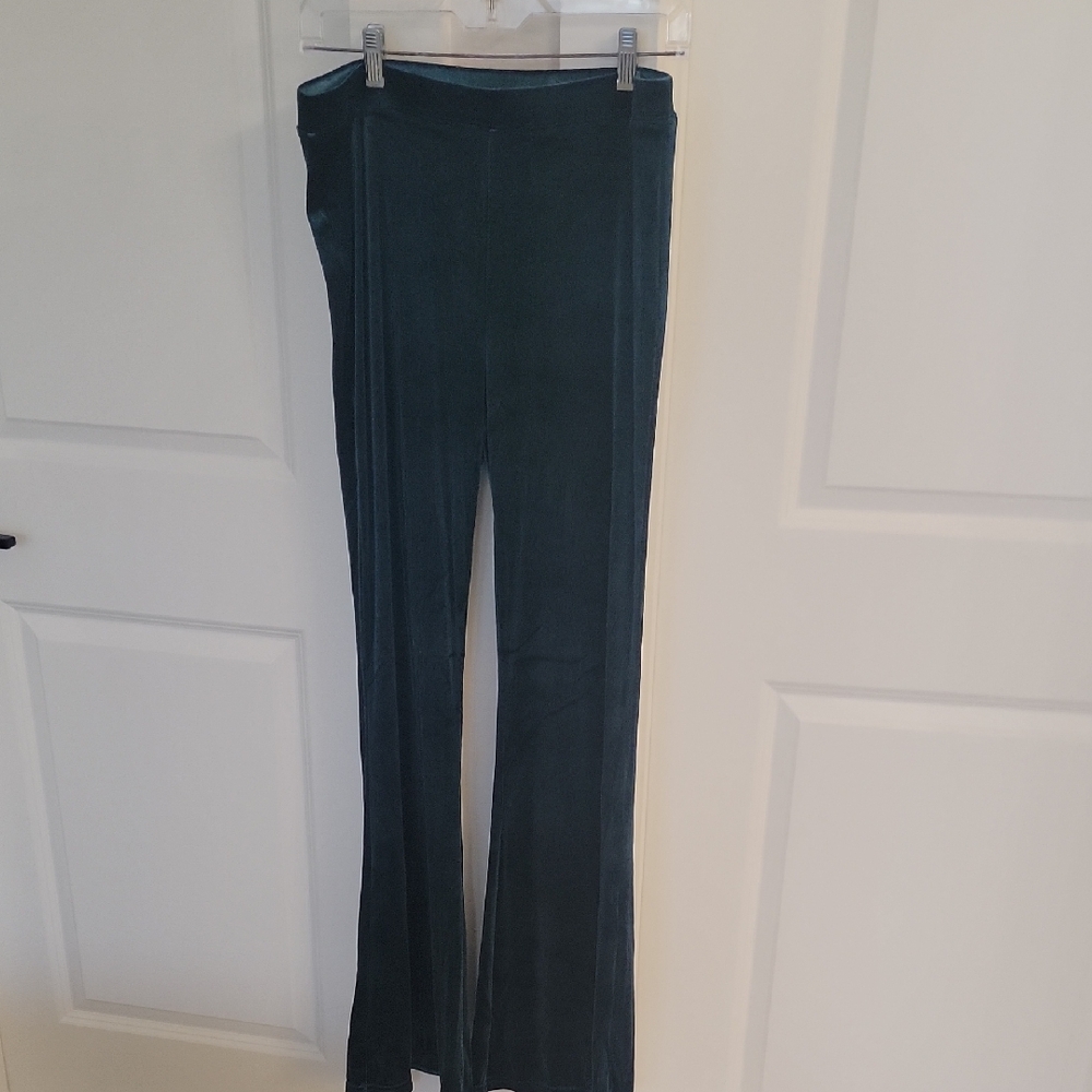 American Eagle Outfitters Deep Teal Green Velvet Pants